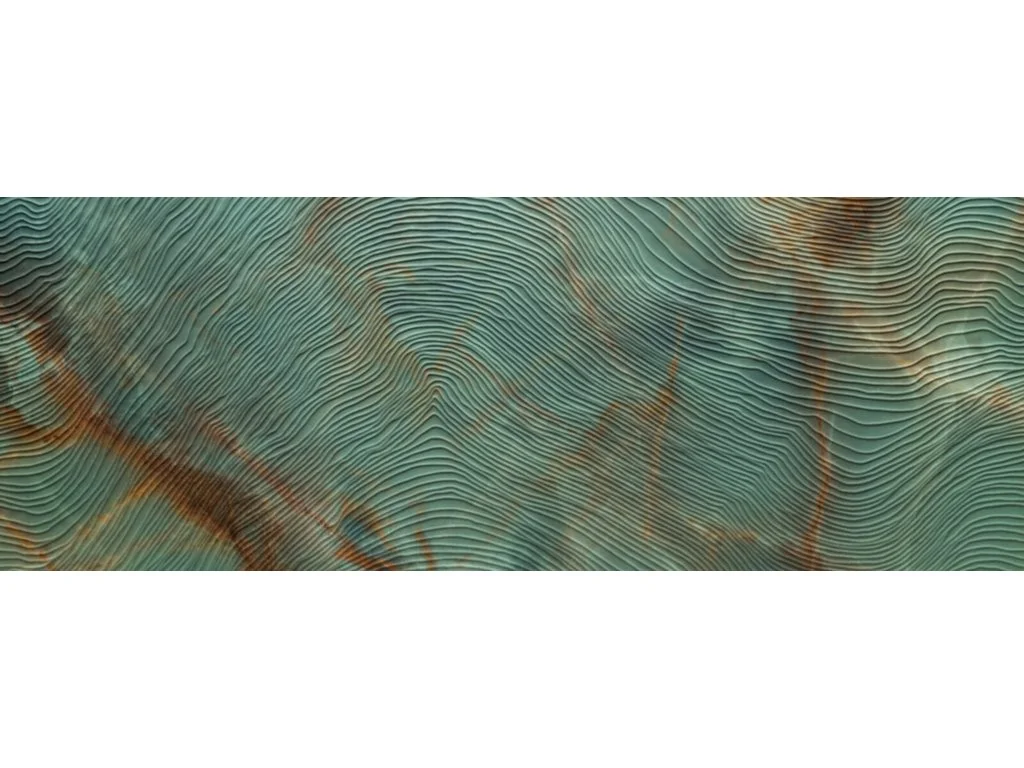 2026_07_18_796661