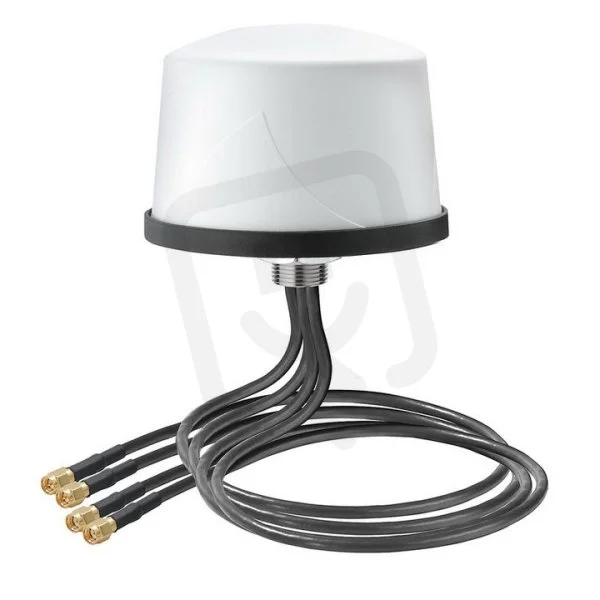 2026_07_19_1338684